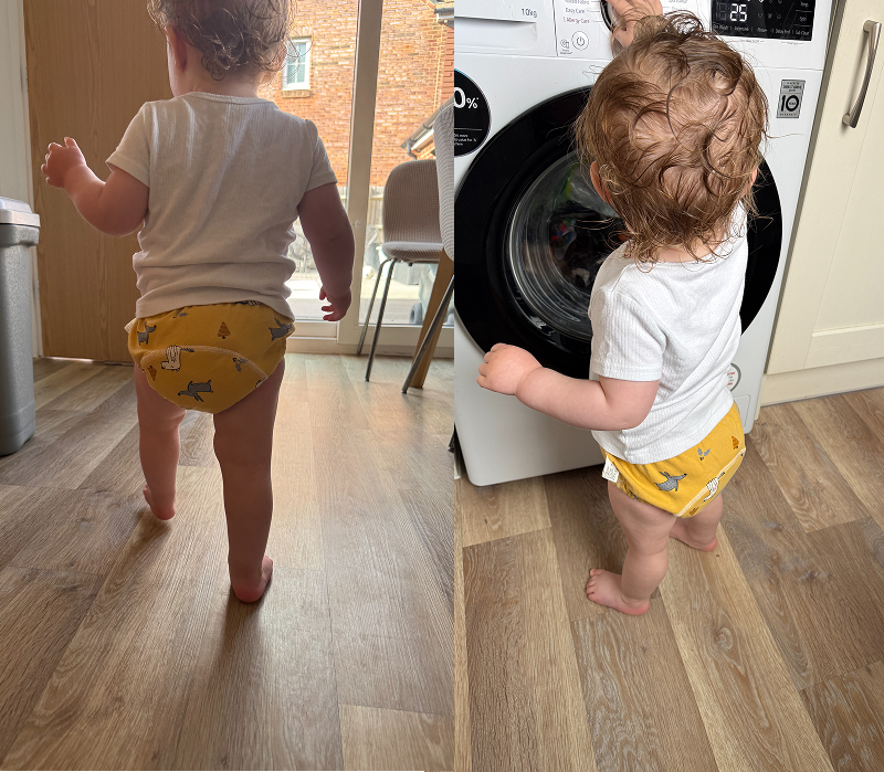 Potty Training for a