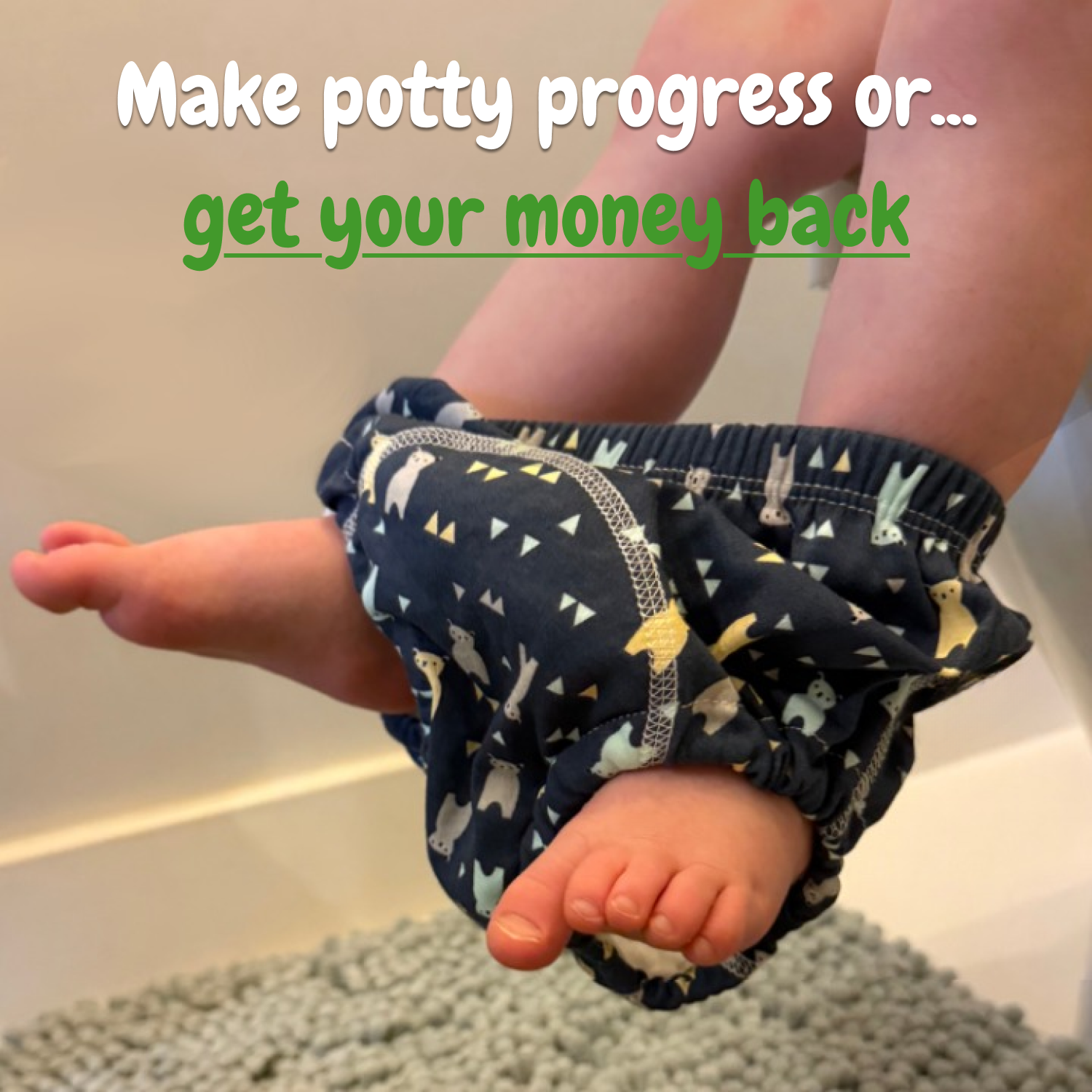 Potty Training Underwear