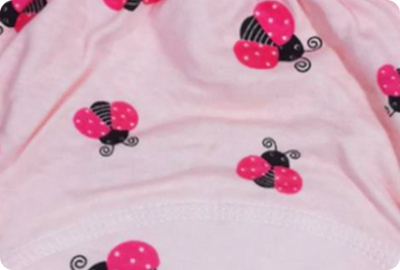 LadyBug