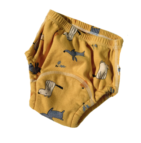 Training underwear